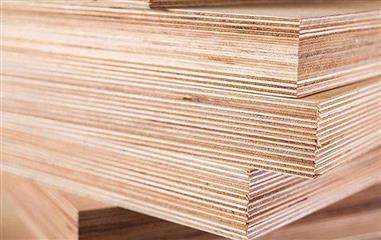 Hoa Kỳ điều tra chống lẩn tránh thuế chống bán phá giá gỗ dán cứng
